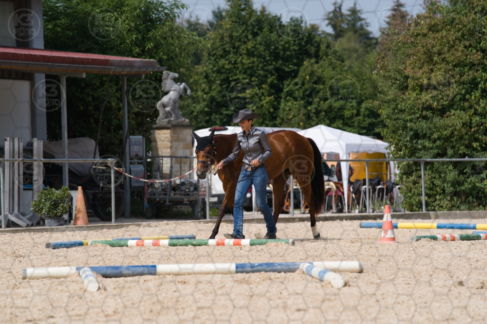 s_batch_A9_00080.jpg